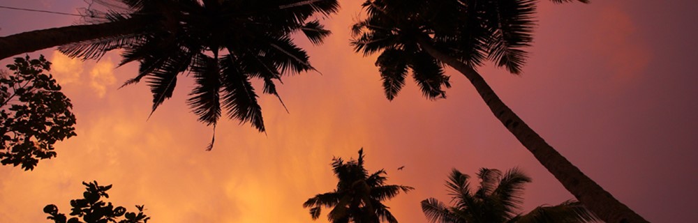 Leisure, Travel and Tourism