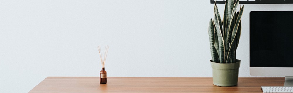 Preparation for Life and Work