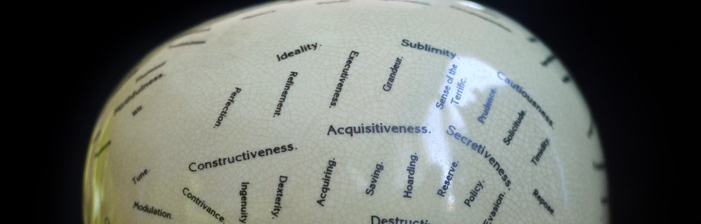 Social Sciences