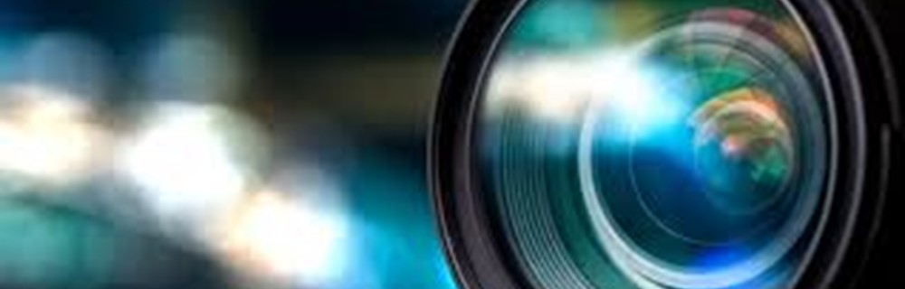 Arts, Media and Publishing